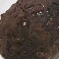 sora_kun's cooksnap of when they made お彼岸にも◎炊飯器で簡単♪おはぎ・ぼた餅.