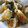 ちばたま's cooksnap of when they made 煮もの南瓜deてんぷら.