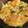 よょぅこ's cooksnap of when they made 簡単これだけでいいです！鶏ムネと卵だけ～.