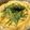 あい♪らんど's cooksnap of when they made サワークリーム明太パスタソース.