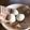 イシポン's cooksnap of when they made ＊簡単＊子供と一緒に作る恐竜の卵＊.