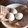 イシポン's cooksnap of when they made ＊簡単＊子供と一緒に作る恐竜の卵＊.