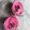 クックMVXCM0☆'s cooksnap of when they made 桜薫る！　桜ミルクプリン.