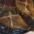 mucklet's cooksnap of when they made 料亭の味を再現！カレイの煮付け.
