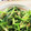 ☆mimicco☆'s cooksnap of when they made 小松菜の卵とじ.