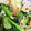 あんわかママ's cooksnap of when they made 【野菜】小松菜ときのこの卵炒め.