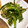 ma2kaboch's cooksnap of when they made ちくわとピーマンのウェイパー炒め.