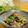 ルパンのかあさん☆彡's cooksnap of when they made ホタルイカと菜の花のおろし和え.