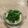 tomochi_to's cooksnap of when they made のらぼう菜のホットサラダ.