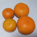 きらり流れ星's cooksnap of when they made みかんを甘くする方法。.