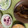 ぐりtoぐら's cooksnap of when they made 簡単一品＊長芋のゆかり漬け.