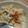 ミイシ's cooksnap of when they made おからde明太風味ペースト.