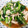 こうゆけ's cooksnap of when they made 裂くと美味♪鶏胸肉と小松菜の中華炒め.