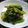 ♪rururu♪'s cooksnap of when they made 小松菜のシーチキン炒め.