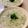 あい♪らんど's cooksnap of when they made 簡単！花咲ブロッコリーのポタージュ.
