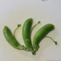 tamago大好き's cooksnap of when they made 面倒なスナップえんどうの筋とり.