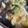 さおりんば's cooksnap of when they made 小松菜としめじの豚バラ中華あんかけ丼.