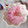 新米まーまま's cooksnap of when they made 旬のイチゴで♪簡単☆いちごみるくゼリー.