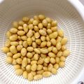 initium's cooksnap of when they made 【大豆料理のきほん】乾燥大豆の戻し方.