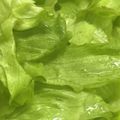 ささッこ's cooksnap of when they made お湯につけるだけでパリパリ☆レタス.