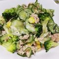 DORA＊DORA's cooksnap of when they made 塩もみきゅうりとブロッコリーのサラダ.