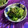ankotetu's cooksnap of when they made 旬の味わい☆春菊のごま和え.