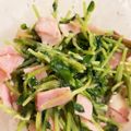 おじまるにゃ's cooksnap of when they made 豆苗とハムのサラダ.