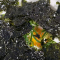 くむちん's cooksnap of when they made ネギたまごはん♪.