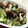 まぶたん's cooksnap of when they made キャベツとツナとシメジの炒め物♪.