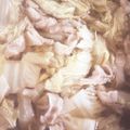 スマイルいろは's cooksnap of when they made ☆とろっとろ白菜と豚バラ肉の煮物☆.