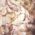 スマイルいろは's cooksnap of when they made ☆とろっとろ白菜と豚バラ肉の煮物☆.