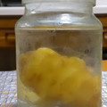 はちみつlove's cooksnap of when they made 使いかけの生姜を長持ちさせる方法.