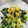ladygawa's cooksnap of when they made ほうれん草 しらす干しの和え物.