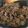 キノコのヤマ's cooksnap of when they made あっさり♪豚肉の大根おろし煮.
