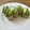 バリスタNY's cooksnap of when they made ヨーロッパヒルトンで1巻2千円の寿司.