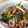 料理苦手っP's cooksnap of when they made いかと青野菜炒め.