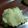 さゆとまみ's cooksnap of when they made 酒粕のトースト！お酒のつまみにも◎.