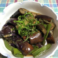 chi−ちゃん's cooksnap of when they made ちょ～簡単！なすの生姜醤油漬け.