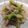 大森ヨーグルト's cooksnap of when they made 作り置き ツナもやしブロッコリー茎炒め.