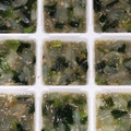 ゆ→ちむ❦180SX's cooksnap of when they made 離乳食後期 もやしとニラの中華煮.