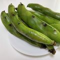 キュキュットさん's cooksnap of when they made フライパンで焼き蒸し空豆♪.