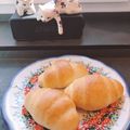 tulipan's cooksnap of when they made バターロール成形のやり方.
