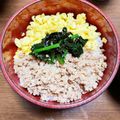 moon2453's cooksnap of when they made 簡単！絶品鶏そぼろ丼.