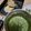 ハント☆'s cooksnap of when they made 自家製グリーンカレーペースト.