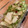 烏龍茶梅's cooksnap of when they made 生ザーサイの漬物.