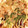 Sun Flover's cooksnap of when they made 我が家のお好み焼き.