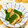 にきけん's cooksnap of when they made ピーマンと油揚げ炒め.