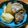 ひらたん0607's cooksnap of when they made 鶏の砂肝と大根のオイスターソース甘辛煮.