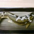 maruru-nn's cooksnap of when they made 泳いでおります♪岩魚の串焼き♪鮎でもOK.