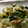 maruru-nn's cooksnap of when they made 新玉ねぎとわかめの梅炒め.